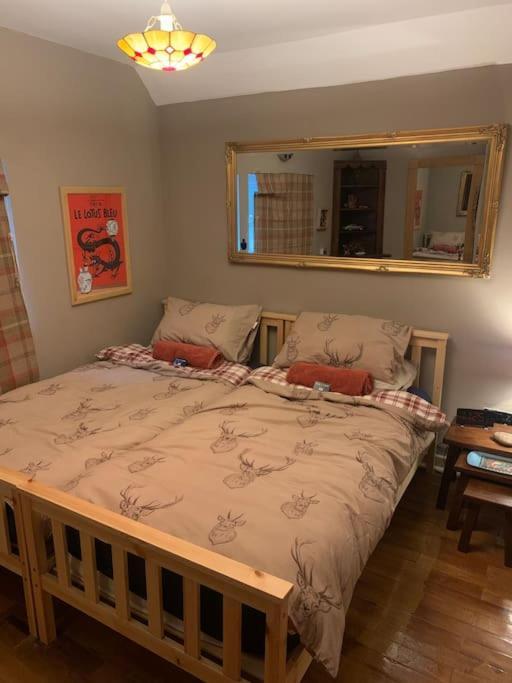 Bear Cottage, Tyn Y Cwm Eglwys-Fach ภายนอก รูปภาพ